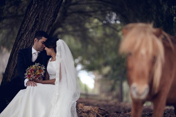 Nuno Lima Fotografia