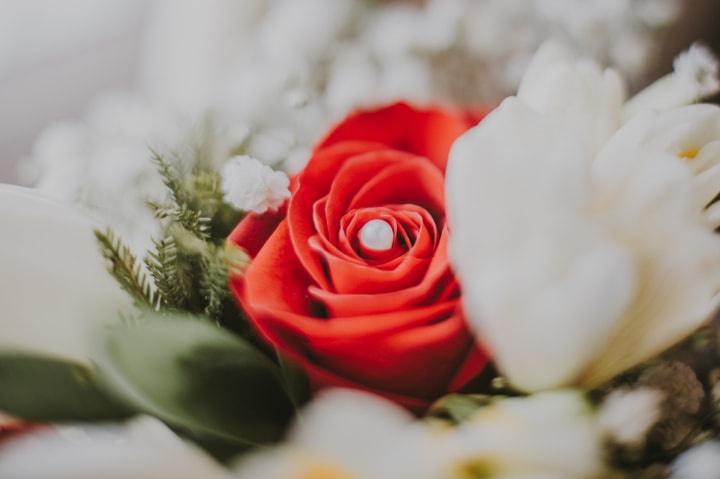 Joana Cardoso Photography