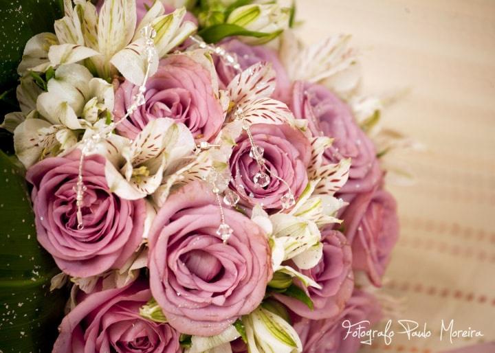 Fotógrafo Paulo Moreira