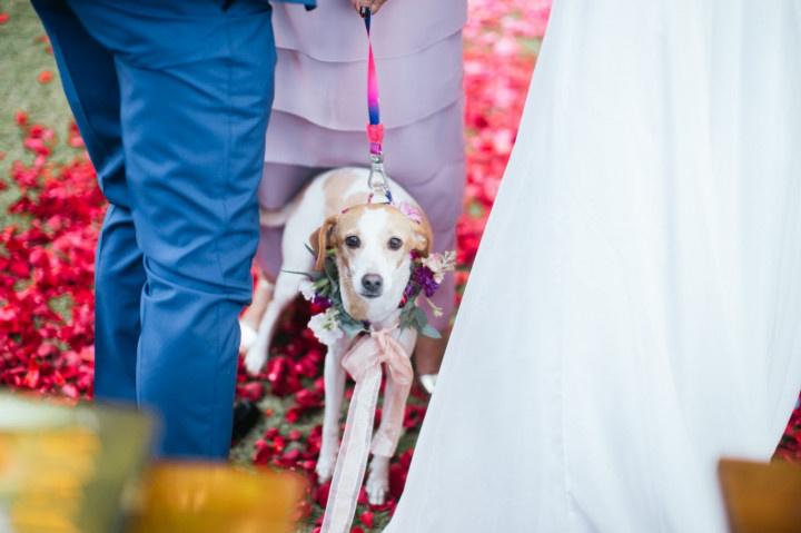 Get Married Wedding Planner