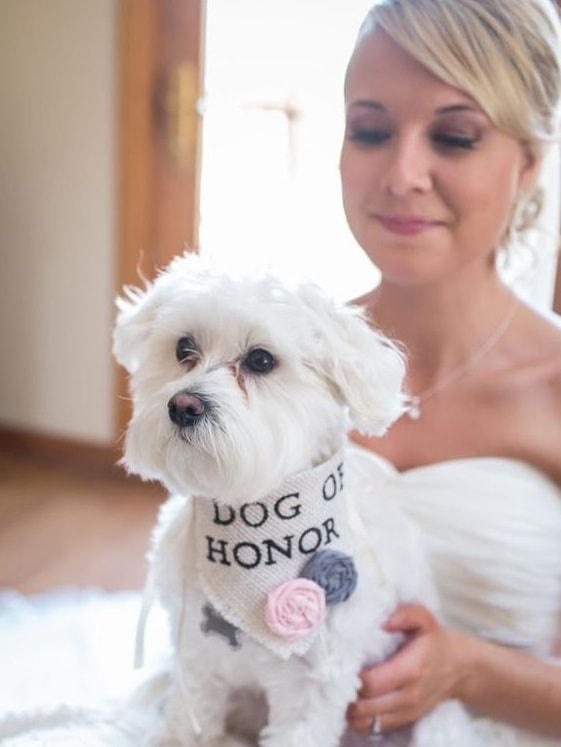 Pet of Honor