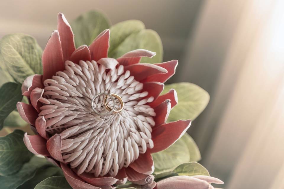 Protea: a flor preferida das noivas modernas