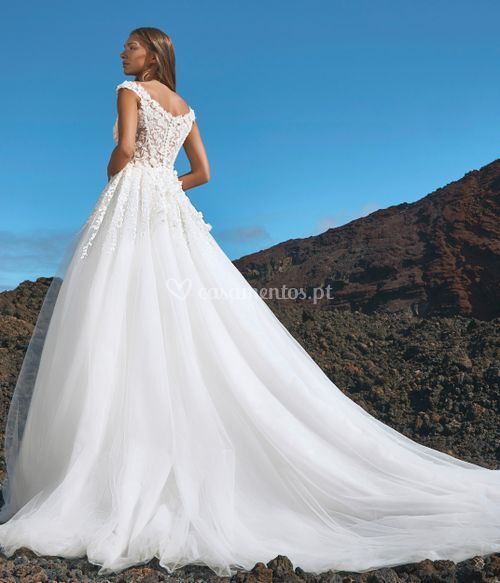 JEITA, Pronovias