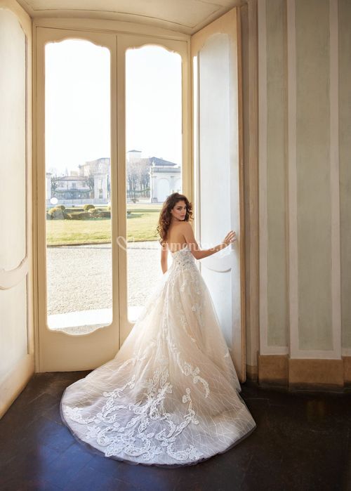 Dixie, Randy Fenoli