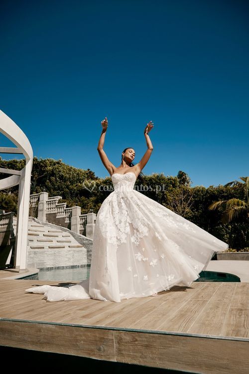 Renee, Galia Lahav