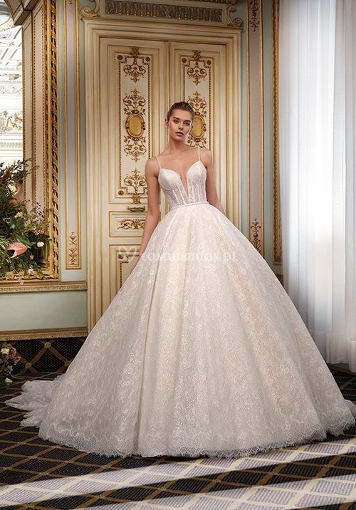 Style Dp502 - Mari, Demetrios