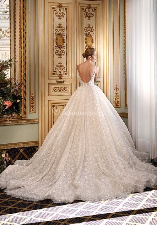 Style Dp502 - Mari, Demetrios