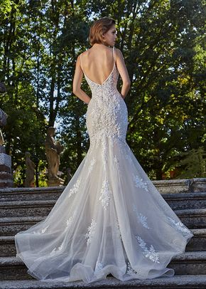 Style 8196, Demetrios