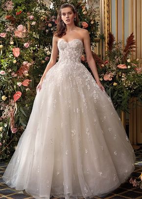 Style Dp504 - Evelina, Demetrios