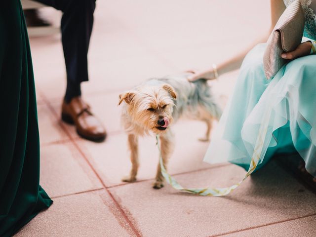 O casamento de Tiago e Raquel em Sandim, Vila Nova de Gaia 31