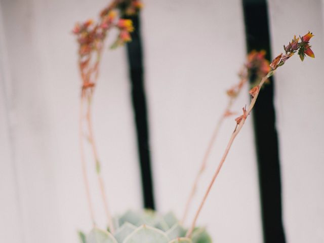 O casamento de Tiago e Raquel em Sandim, Vila Nova de Gaia 34