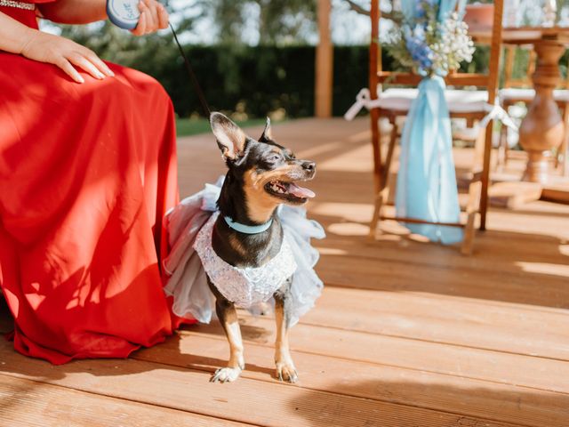 O casamento de André e Ana  em Évora, Évora (Concelho) 13
