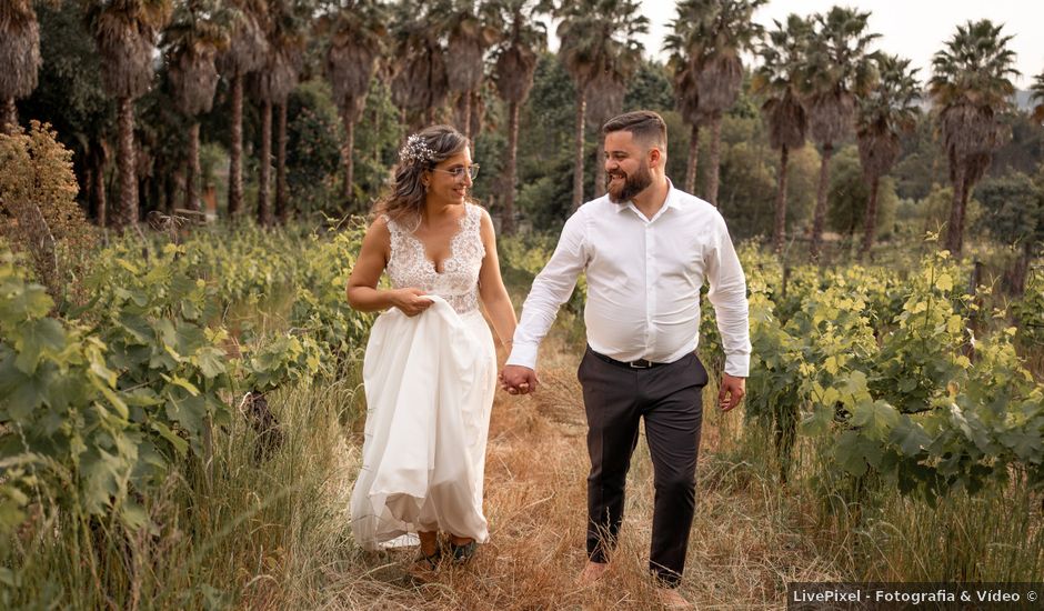 O casamento de João e Ana Dono em Águeda, Águeda