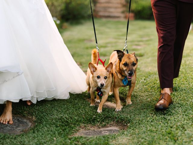 O casamento de Luís e Mariana em Alquerubim, Albergaria-a-Velha 70