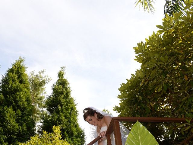 O casamento de Rafael e Alexandra em Fornos, Santa Maria da Feira 8