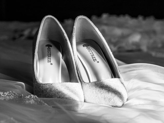 O casamento de Alícia e João em Vila Flor, Vila Flor 16