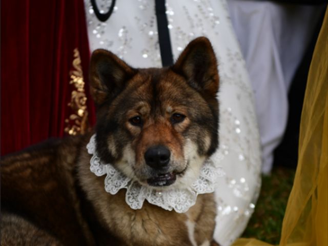 O casamento de Sergio e Natalia em Sintra, Sintra 5