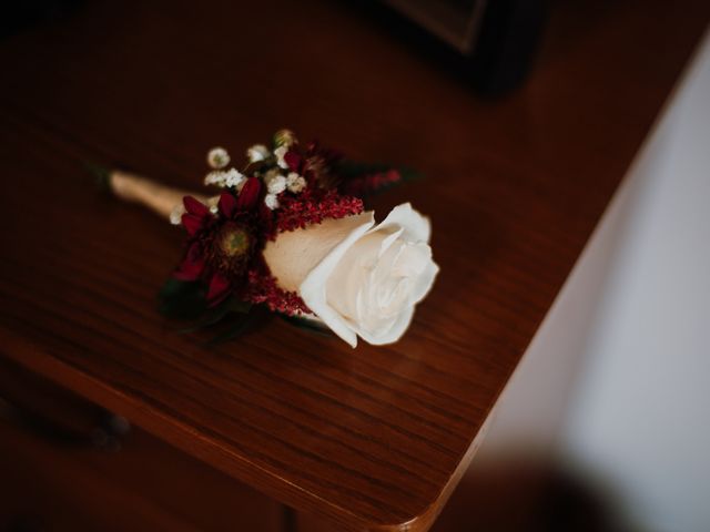 O casamento de Marco e Filipa em São Pedro do Sul, São Pedro do Sul 4