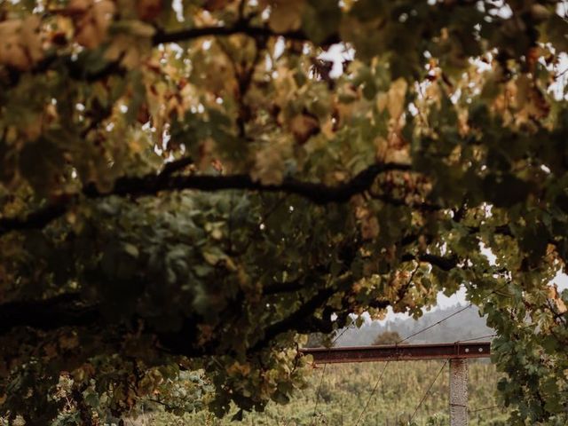 O casamento de Marco e Filipa em São Pedro do Sul, São Pedro do Sul 250