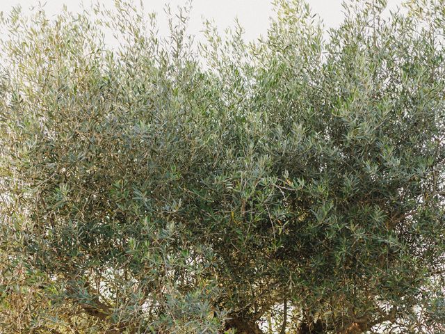 O casamento de David e Joana em Leiria, Leiria (Concelho) 80