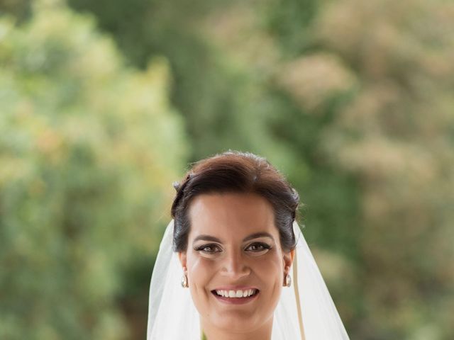 O casamento de Luís e Carolina em Coimbra, Coimbra (Concelho) 12