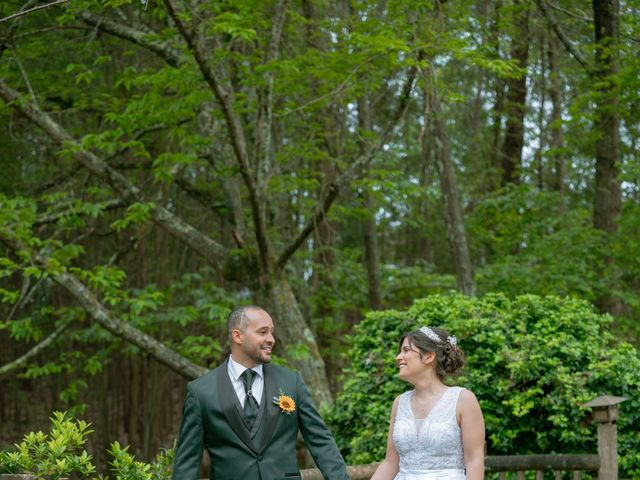 O casamento de Pedro e Daniela em Águeda, Águeda 36