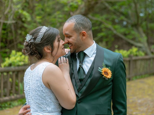 O casamento de Pedro e Daniela em Águeda, Águeda 37