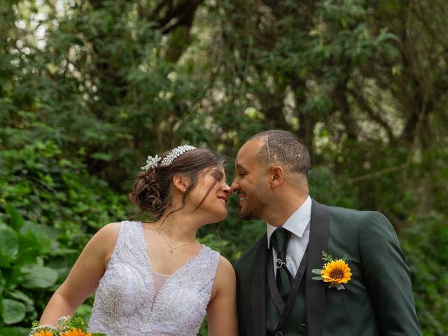 O casamento de Pedro e Daniela em Águeda, Águeda 42