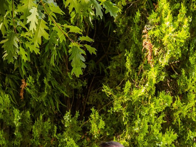 O casamento de Marco e Tatiana em Fernão Ferro, Seixal 27