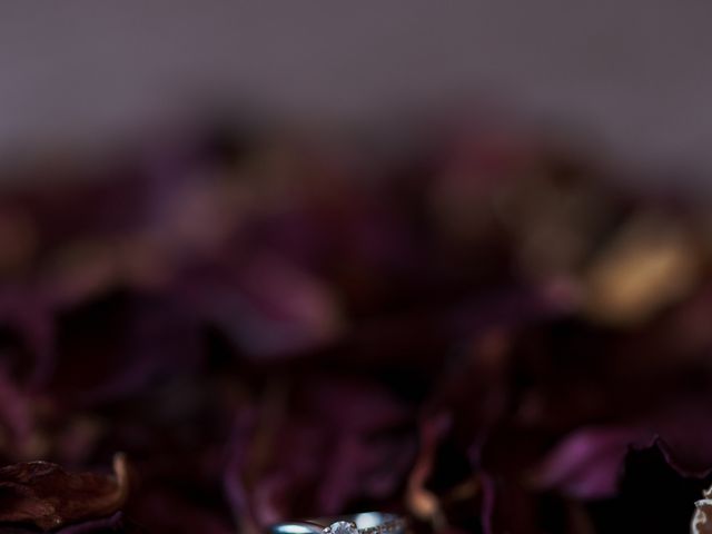 O casamento de Daniel e Rita em Porto, Porto (Concelho) 8
