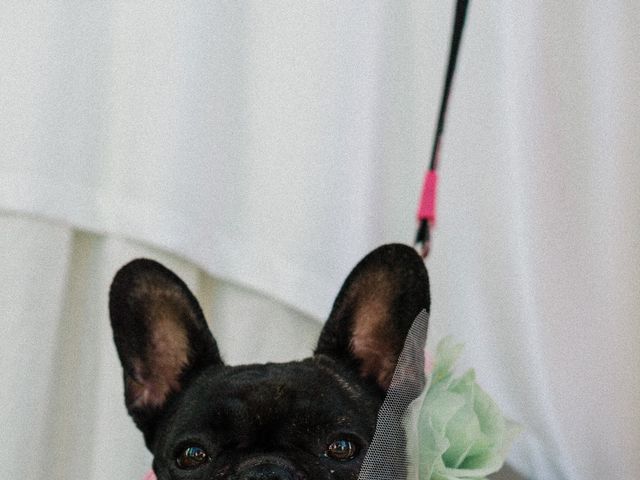 O casamento de Ricardo e Catarina em Fernão Ferro, Seixal 5