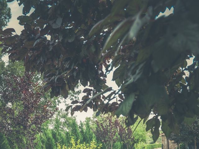 O casamento de Nuno e Flávia em Pinhel, Pinhel 34