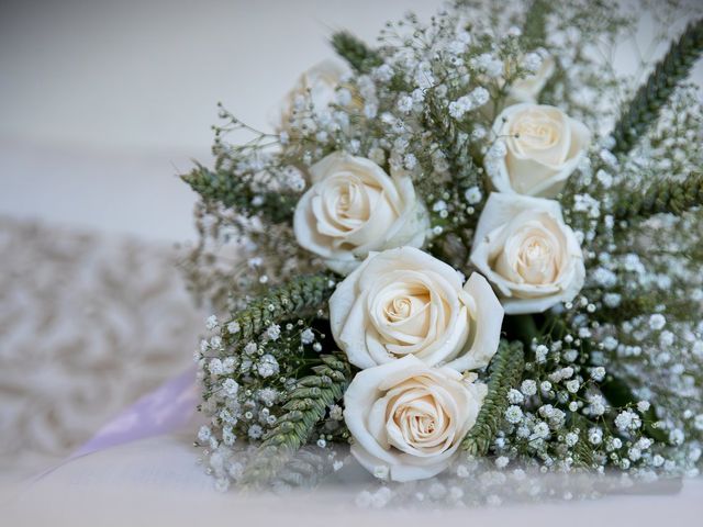 O casamento de Alexandre e Andreia em Branca, Albergaria-a-Velha 5