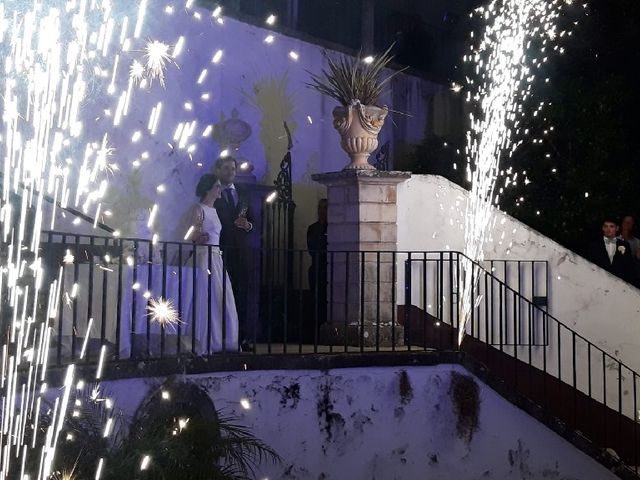 O casamento de Andreia e Ricardo em Coimbra, Coimbra (Concelho) 1