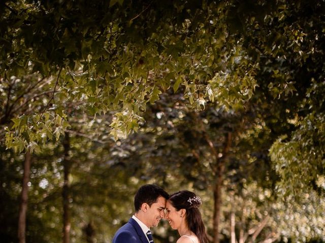 O casamento de Roberto e Sónia em Sever do Vouga, Sever do Vouga 196