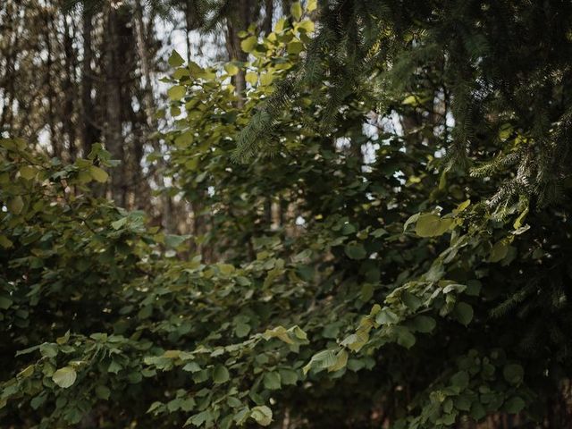 O casamento de Fábio e Filipa em Viseu, Viseu (Concelho) 42