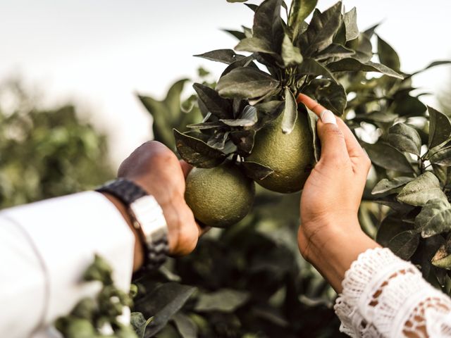 O casamento de Edmiro e Livia em Almancil, Loulé 47