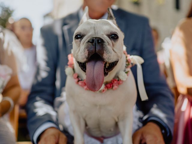 O casamento de Tiago e Joana em Maia, Maia 7