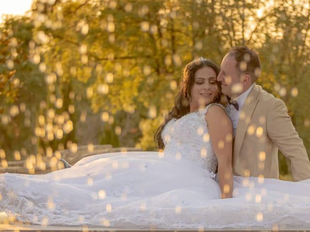 O casamento de Jani  e Pedro  em Fiães, Santa Maria da Feira 1