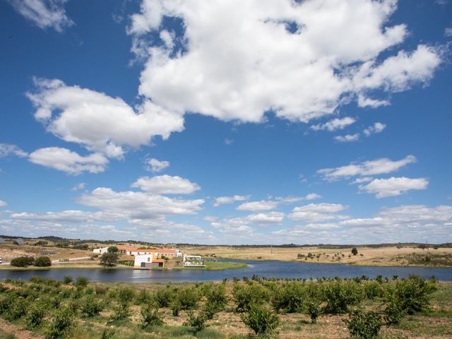 O casamento de Pedro e Flávia em Castelo Branco, Castelo Branco (Concelho) 22