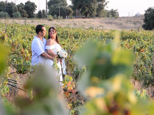 O casamento de Luis e Susana em Lagoínha, Palmela 87