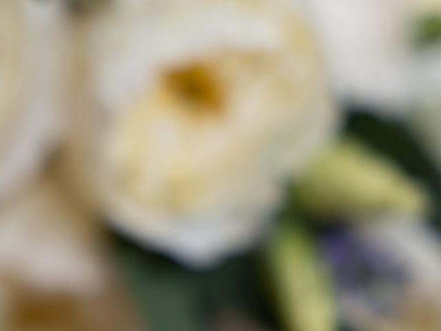 O casamento de Tiago e Andreia em Rio Tinto, Gondomar 9