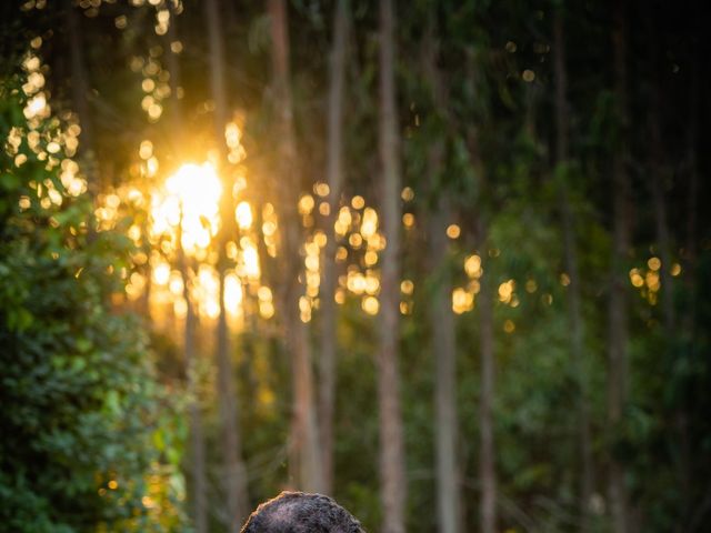 O casamento de David e Joana em Vale de Lobos, Sintra 141