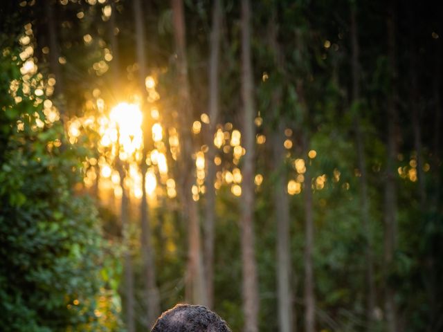 O casamento de David e Joana em Vale de Lobos, Sintra 142