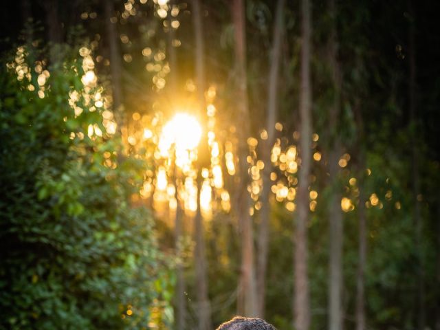 O casamento de David e Joana em Vale de Lobos, Sintra 143