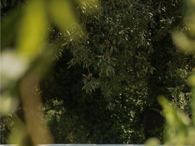 O casamento de Diogo e Raquel em Loures, Loures 18