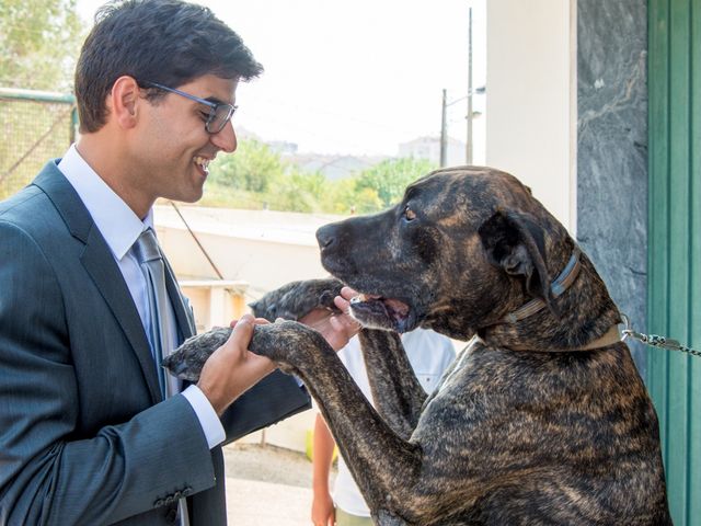 O casamento de Bruno e Filipa em Azeitão, Setúbal (Concelho) 8