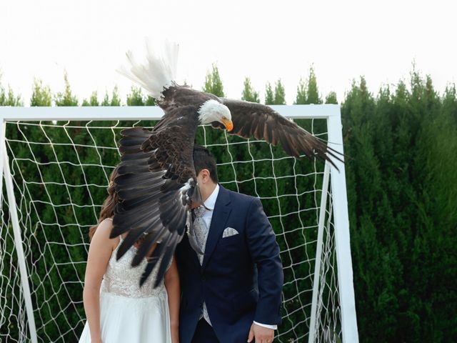 O casamento de Luís e Teresa em Coimbra, Coimbra (Concelho) 6