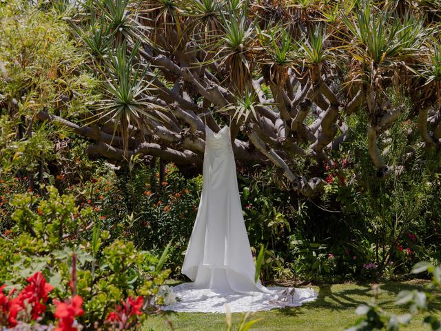 O casamento de Jesus e Debbie em Ilha, Madeira 20