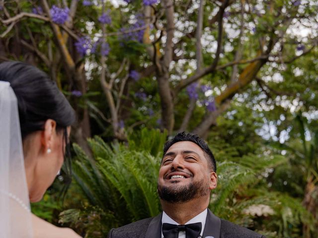O casamento de Jesus e Debbie em Ilha, Madeira 58